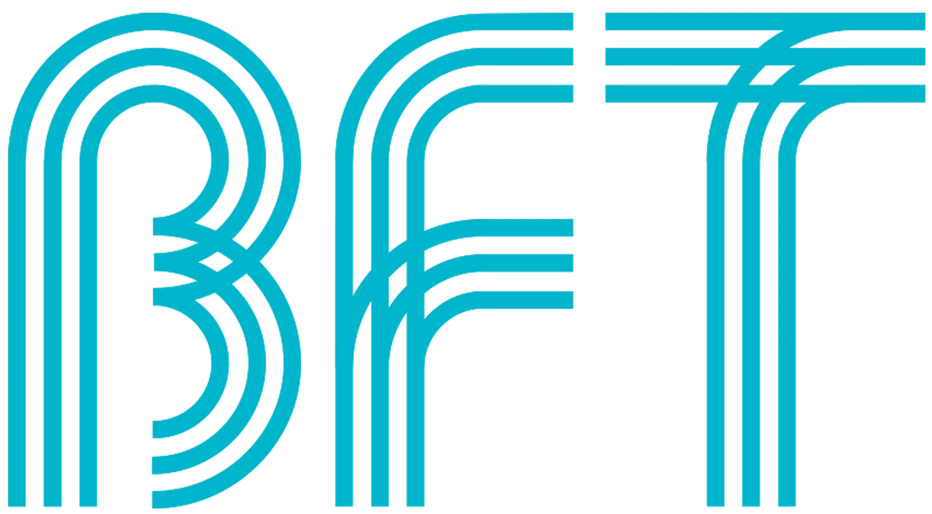 Body Fit Training